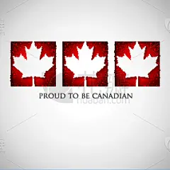 贺卡,窗户,矢量,加拿大国庆日,加拿大文明,商务,请柬,事件,传单,数字1