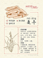 中草药✨每日一科普｜麦冬 - 小红书