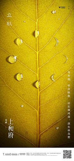 往死采采集到1