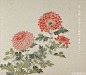 工笔花鸟画素以线条精细、设色浓艳、造型精准而呈现一种工致清丽的画风。明清画家以格物致知的态度观察花鸟植物，用精妙的笔墨勾绘出生动逼真的菊花形象，以绚丽的色彩渲染出历霜而艳的菊花姿色。欣赏完“故宫博物院藏菊花题材文物特展”延禧宫展厅的画中菊，不如到室外“故宫开封菊花展”绚丽绽放的二百余种菊花中找找有没有一样的品类吧~花展预计至10月16日结束，不要错过哦~