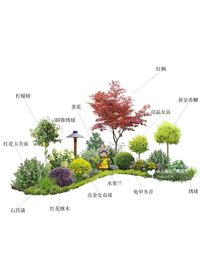 庭院景观设计施工 花镜植物搭配-伶仃草园艺-花瓣网