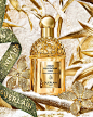 Guerlain (@guerlain) · Instagram 照片和视频