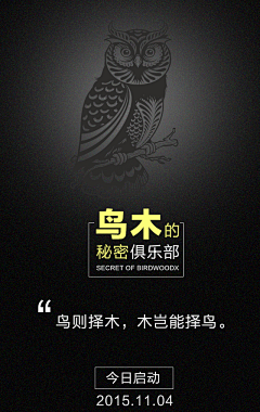 阳小阳~。~采集到推广图