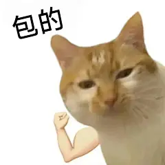 猫猫表情包｜胖罐子胖摔_07