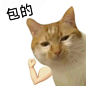 猫猫表情包｜胖罐子胖摔_07