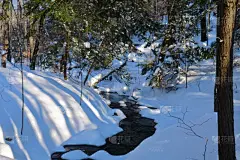 冬天,小河,水道,加拿大,水平画幅,雪,无人,日光,阴影,户外
