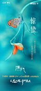 惊蛰 (12)