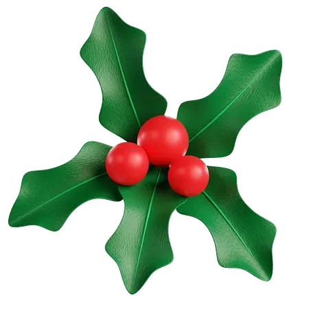 Mistletoe  3D Icon