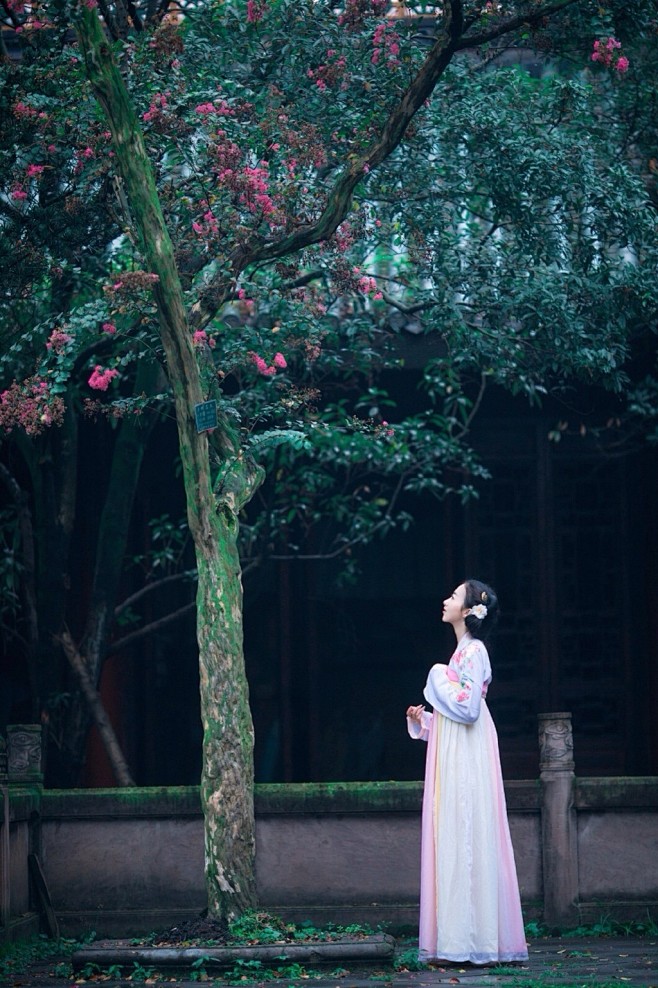 【酒泉子 雨渍花零】雨渍花零, 红散香凋...