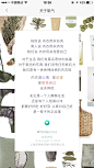 氧气【关于我们 版本介绍】@ANNRAY!
