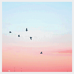 小猪佩奇表情包的微博_微博