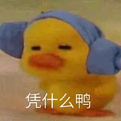 表情包（小鸭子，凭什么呀）