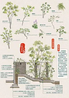门户空间｜一看就会的景墙、悬浮踏步施工做法 - 小红书