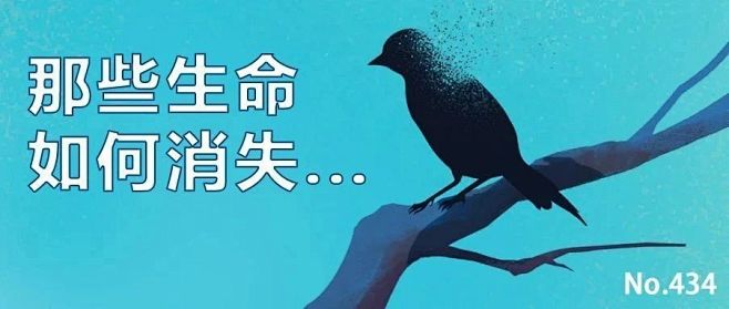 一份名单，阅后即灭 : 当你亲眼目睹“灭...