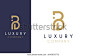 高级矢量 B 标志在两种颜色变化. 美丽的标志式设计奢侈品公司品牌。 优雅的蓝色和金色标识设计。