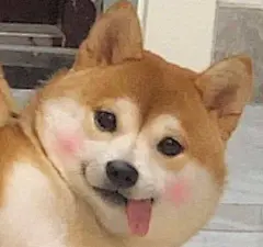 采集图片