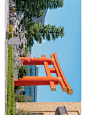 平安神宫｜平安京的樱花⛩️
