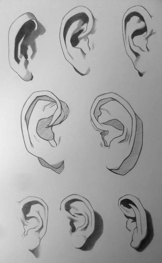 耳朵画法 ​​​​