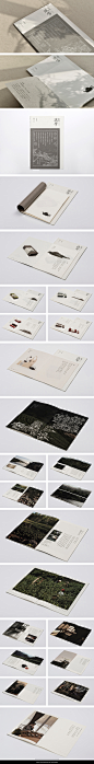 Wuyi Ruifang Tea Brochure Design