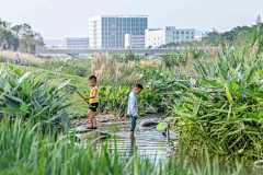 景观群采集到A风格-红树林--湿地--保护区