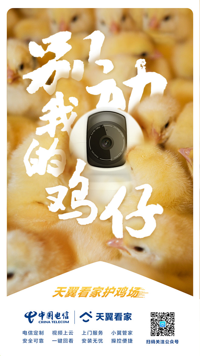 天翼看家农村推广海报1