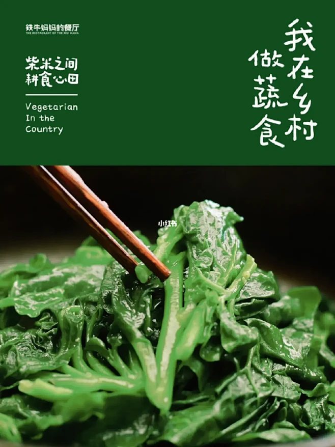 我在乡村做蔬食｜快速营养的蔬菜烹饪法