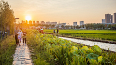 INSANE_K采集到VILLAGE