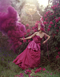 Tim Walker Photography