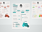 Infographic resume .PSD