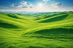 自然风景青草摄影图