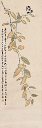张大千——花鸟画 | 
张大千 (1899-1983) 四川内江人，20世纪中国画坛最具传奇色彩的国画大师。早期在山水画方面卓有成就。后旅居海外，画风工写结合，重彩水墨融为一体，开创了新的艺术风格。张大千作品题材广泛，人物、山水、花鸟、走兽皆精。画人物多采古装，借人物以抒情怀；画翎毛花卉或工笔或写意，清润秀丽，落落大方；山水涉笔成趣，点画新奇，富有诗意。晚年常用泼墨、泼彩描绘风景，独具风格。