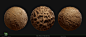Diablo IV Vessel of Hatred - Bug Cave Materials