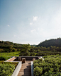 The Valley, Khao Yai. Landscape design by Shma. For Sansiri.