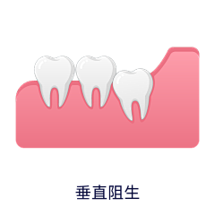 平静的快乐采集到牙齿