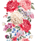 精美手绘花朵植物矢量素材 - 素材中国16素材网