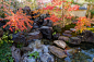 南禅寺M邸 – 植弥加藤造园 -始于京都 精心培育日本庭园-