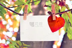 贺卡,秋天,叶子,九月,纹理效果,十月,边框,信函,罗马尼亚,橙色