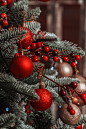 new-year-3974099