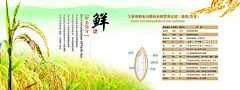 农产品展板  - 源文件下载【酷图网】展板,背景,宣传版面,农产品简介,水稻大米,