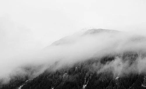 Showcase of Fabulous Foggy Photographs for Your Inspiration图片_Showcase ...