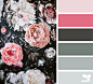 Design Seeds : Design Seeds color palettes ... posted daily for all who love color.