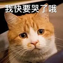 超可爱猫咪系列表情包 撒个娇萌死你_动漫新闻_动漫论坛_动漫美图_幻之羁绊动漫网