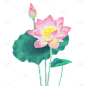 中国风植物元素主题元素