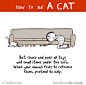 最快的方式学会猫的作为
How To Be A Cat