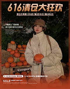 LAI蕾酱采集到VI海报