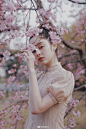 #点赞里送一张五折优惠券# 
<初樱>
黑色的车轮在暮色中滚动，边缘的银色小铁丝随着每一圈循环闪烁着暗淡又跳跃的亮光。
那个坐在红丝绒车凳上的女孩，像京都城初春里绽放的第一枝樱花——
挽着高高的发髻，一袭淡雅的蕾丝旗袍，伴随着清脆的车铃，从车里探出被凉风吹得粉粉的脸庞。
车夫穿着包裹紧实的 ​​​​...展开全文c
