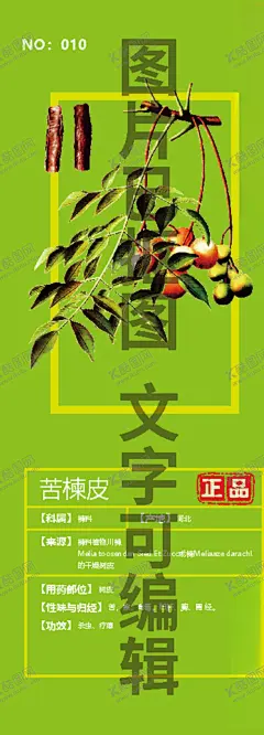 苦楝皮 【酷图网】楝皮,楝树皮,楝根皮,楝树根皮,苦楝白皮,楝白皮,森树皮,翠树皮,紫花树皮,手绘,插画,线描,白描,国画,素描,包装设计元素,设计元素,插图,插画手稿,中药名插画,中药手绘,野生,高山,药丸,文化艺术,绘画书法,平面