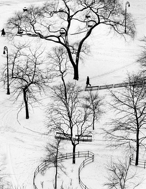 華盛頓廣場（紐約）1954年