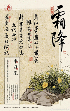 辣辣一枝花采集到节日 | 霜降