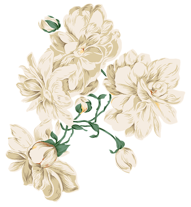 白色花